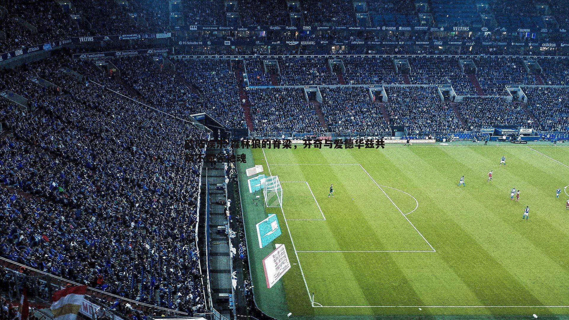 欧陆娱乐-森林狼的脊梁，芬奇与爱德华兹共筑不屈领袖魂