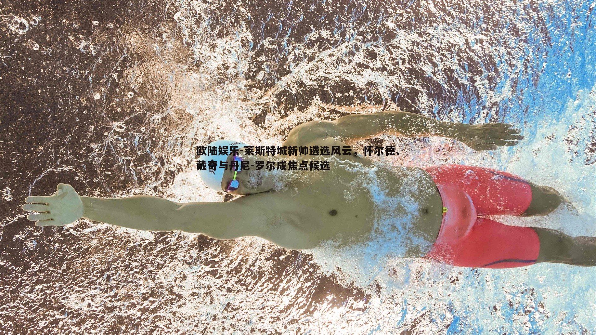 欧陆娱乐-莱斯特城新帅遴选风云，怀尔德、戴奇与丹尼-罗尔成焦点候选